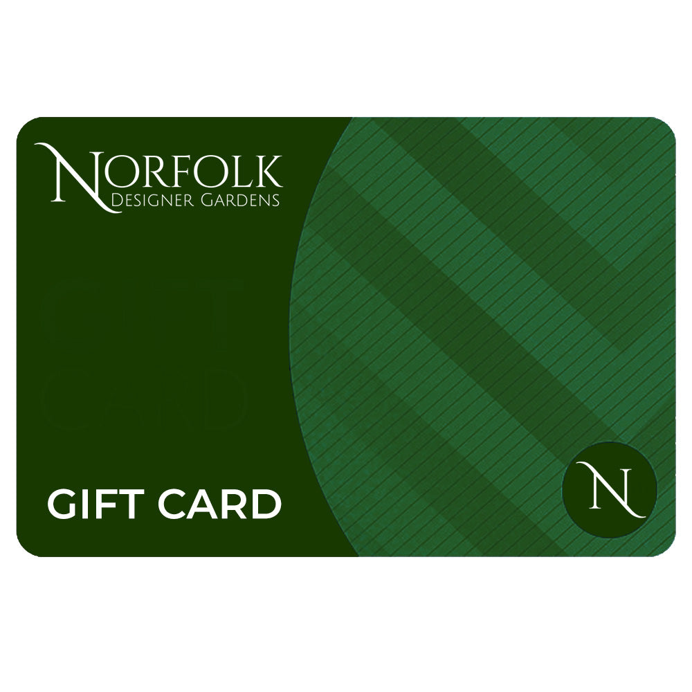 Gift Card (Digital)